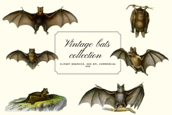 Download Vintage Bats Collection, Creepy Graphics - Graphic Collection