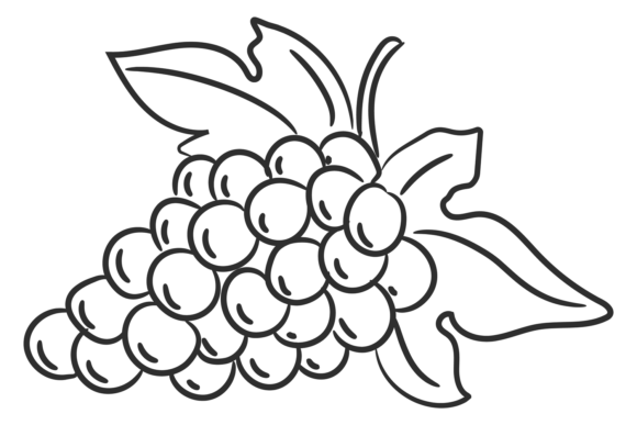Download Grape Icon. Hand Drawn Wine Berry Bunch - Icon Collection
